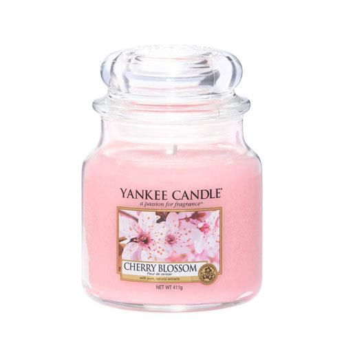 soft daisy flame soft daisy flame